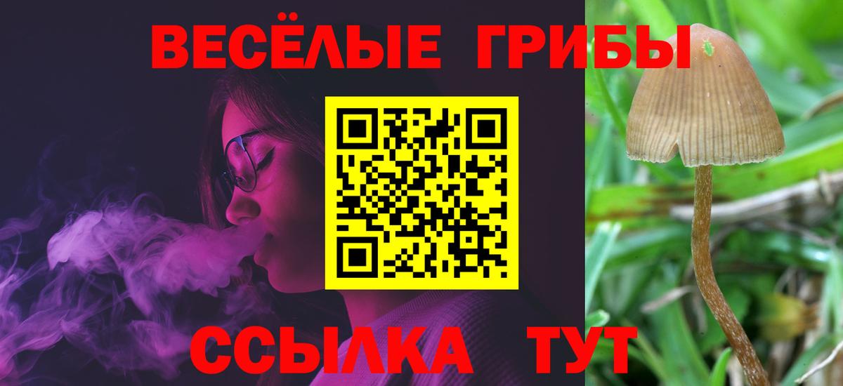 Галлюциногенные грибы мицелий Зеленокумск